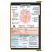 WhiteCoat Clipboard® - Tactical Brown Neurology Edition